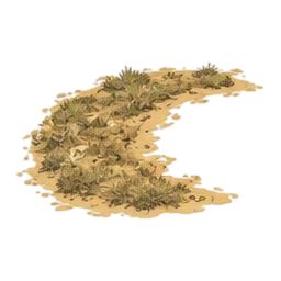 参考我给你的沙地，帮我生成一些沙地上的草皮，要贴着沙地，生成不同的多种样式