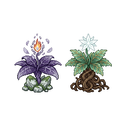 千年灵草