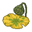帮我生成秋天还生长在水面上的植物
